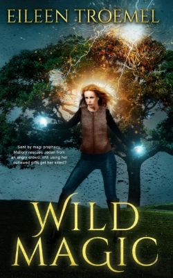 Bertrand.pt - Wild Magic