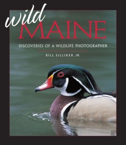 Bertrand.pt - Wild Maine