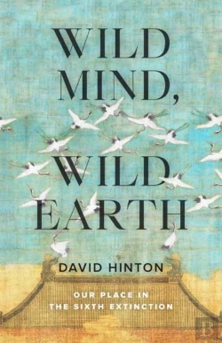 Bertrand.pt - Wild Mind, Wild Earth