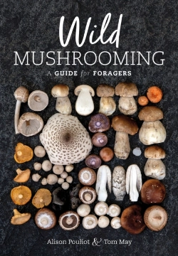 Bertrand.pt - Wild Mushrooming