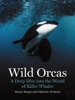 Bertrand.pt - Wild Orcas