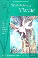 Wild Orchids Of Florida