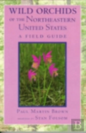 Wild Orchids Of The Northeastern United States