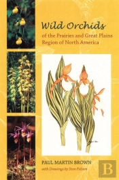 Wild Orchids Of The Prairies And Great Plains Region Of North America