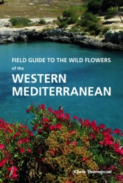 Wild Plants Of Southern Spain