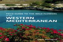 Wild Plants Of Southern Spain