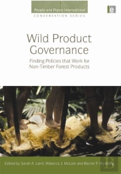 Wild Product Governance