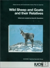 Wild Sheep And Goats And Their Relatives