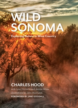 Bertrand.pt - Wild Sonoma