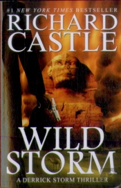 Wild Storm
