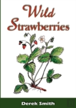 Bertrand.pt - Wild Strawberries