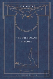 Wild Swans At Coole