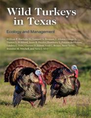 Wild Turkeys In Texas