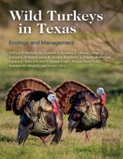 Wild Turkeys In Texas