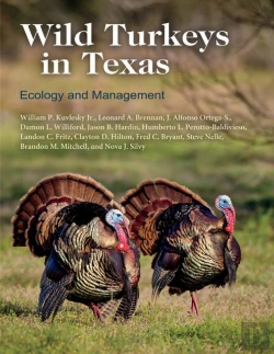 Bertrand.pt - Wild Turkeys In Texas