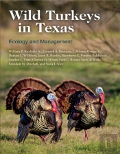 Wild Turkeys In Texas