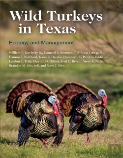 Bertrand.pt - Wild Turkeys In Texas