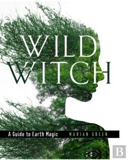 Bertrand.pt - Wild Witch