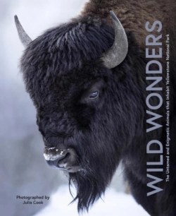 Bertrand.pt - Wild Wonders