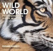 Wild World