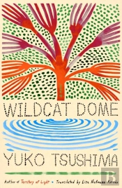 Wildcat Dome