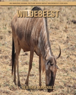 Bertrand.pt - Wildebeest