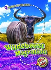 Wildebeest Migration