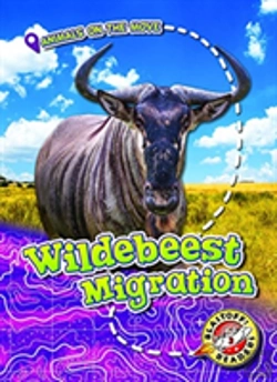 Bertrand.pt - Wildebeest Migration