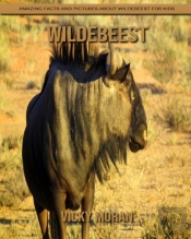 Wildebeest