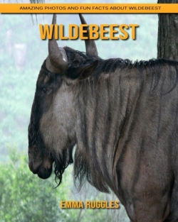 Bertrand.pt - Wildebeest