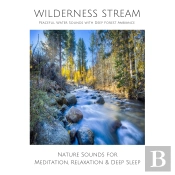 Wilderness Stream (Without Music) - Peaceful Water Sounds With Deep Forest Ambience
