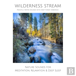 Bertrand.pt - Wilderness Stream (Without Music) - Peaceful Water Sounds With Deep Forest Ambience