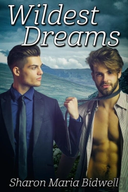 Bertrand.pt - Wildest Dreams