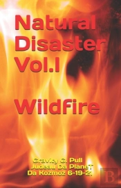 Wildfire