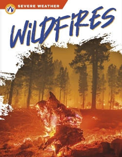 Bertrand.pt - Wildfires