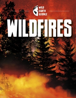 Bertrand.pt - Wildfires