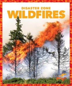 Bertrand.pt - Wildfires
