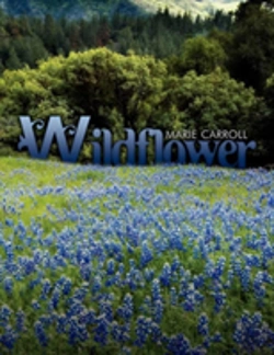 Bertrand.pt - Wildflower
