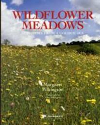Wildflower Meadows