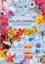 Wildflowers! A Guide To Identifying The Wildflowers Of Northern California'S Wine Country