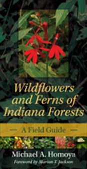 Wildflowers And Ferns Of Indiana Forests