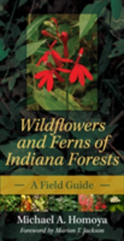 Bertrand.pt - Wildflowers And Ferns Of Indiana Forests