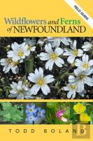 Wildflowers And Ferns Of Newfoundland