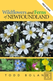 Wildflowers And Ferns Of Newfoundland