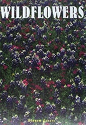 Wildflowers
