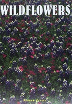 Bertrand.pt - Wildflowers