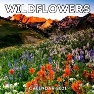 Wildflowers Calendar 2021