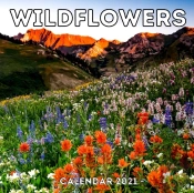 Wildflowers Calendar 2021