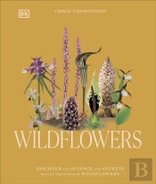 Wildflowers
