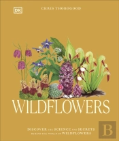Wildflowers